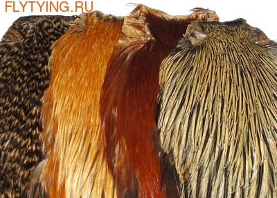 53006 Скальп петуха Dry Fly Rooster Neck
