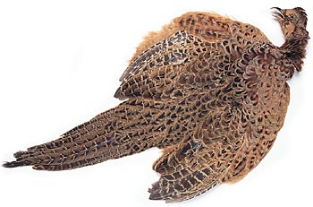 53181 ����� ����� ����������� ������ Hen Pheasant Complete Skin
