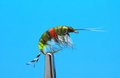 14031 Мушка имитация бокоплава Freshwater Shrimp Dk.Olive Orange Spot