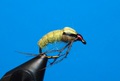14197 Мушка нимфа Rhyacophila Caddis Pupa