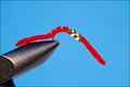 14126 Мушка нимфа Double Bead San Juan Worm Red