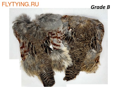 SFT-studio 53323   Hungarian Partridge Whole Skin (,  1)