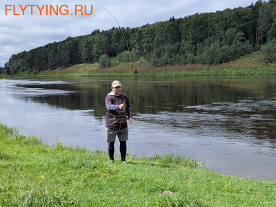 Kola Salmon 10922 ���������� ����������� ������� FIVE (����, ��� 2)