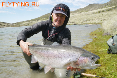 Kola Salmon 10922 ���������� ����������� ������� FIVE (����, ��� 5)