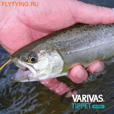 VARIVAS 21213 ����� Tippet Nylon (����, ��� 4)