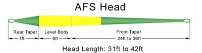 Rio 10343   AFS Spey Shooting Head Kit (,  2)