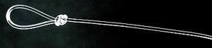 Rio 10526   Powerflex Trout Leader (,  1)