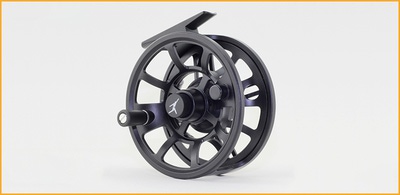Echo 10216   Ion Reel (,  3)