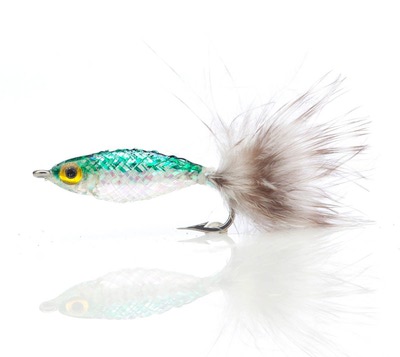 A.Jensen 15102   Twinkle Tube Fish Green (,  1)