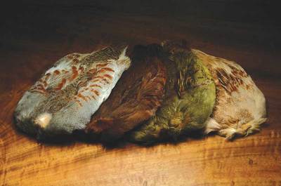 Hareline 53076    PARTRIDGE SKIN (,  1)