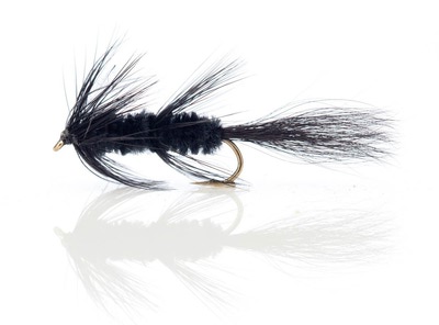 A.Jensen 15134   Fuzzy Wuzzy (,  1)