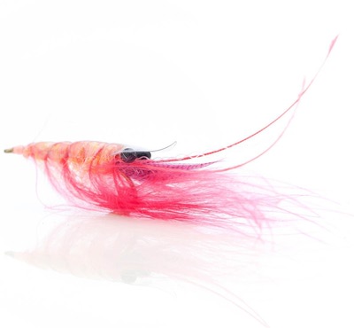 A.Jensen 16068    Crangon Shrimp Shrimp Pink (,  1)