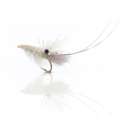 A.Jensen 16077    Autumn Shrimp (,  1)