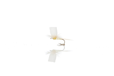 A.Jensen 11051   PMD Para Biot Body (,  2)