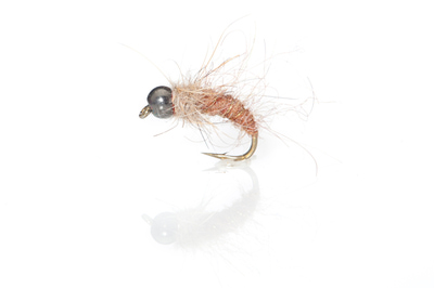 A.Jensen 14068   BH Caddis Pupa - Cinnamon (,  2)