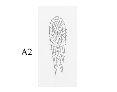 J:son&Co 58305 Заготовки для имитаций крылышек Realistic Wing Material for Stoneflies (фото, вид 1)