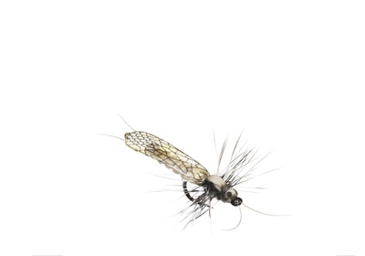 J:son&Co 58305     Realistic Wing Material for Stoneflies (,  6)