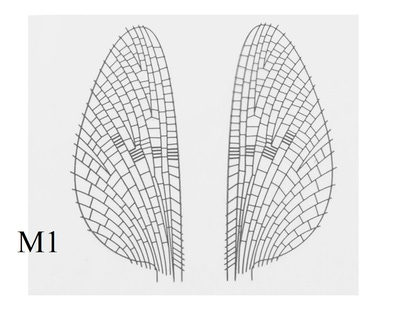 J:son&Co 58306     Realistic Wing Material For Mayfly Emerger / Dun / Spent (,  1)