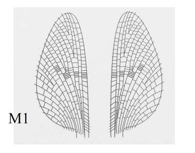 J:son&Co 58306 Заготовки для имитаций крылышек Realistic Wing Material For Mayfly Emerger / Dun / Spent (фото, вид 1)