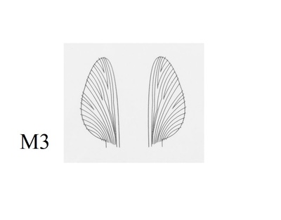 J:son&Co 58306 Заготовки для имитаций крылышек Realistic Wing Material For Mayfly Emerger / Dun / Spent (фото, вид 3)