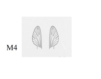 J:son&Co 58306 Заготовки для имитаций крылышек Realistic Wing Material For Mayfly Emerger / Dun / Spent (фото, вид 4)