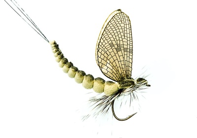 J:son&Co 58306     Realistic Wing Material For Mayfly Emerger / Dun / Spent (,  7)