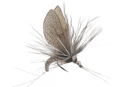 J:son&Co 58306     Realistic Wing Material For Mayfly Emerger / Dun / Spent (,  9)