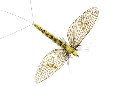 J:son&Co 58306     Realistic Wing Material For Mayfly Emerger / Dun / Spent (,  10)