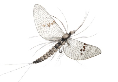 J:son&Co 58306     Realistic Wing Material For Mayfly Emerger / Dun / Spent (,  11)