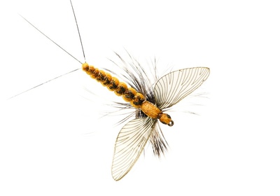 J:son&Co 58306     Realistic Wing Material For Mayfly Emerger / Dun / Spent (,  12)