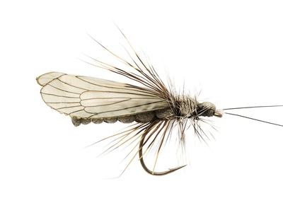 J:son&Co 58307     Realistic Wing Material For Caddis Adult (,  6)