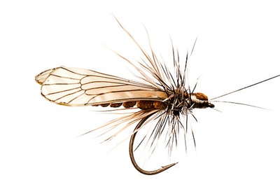 J:son&Co 58307     Realistic Wing Material For Caddis Adult (,  7)