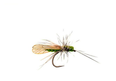 J:son&Co 58307     Realistic Wing Material For Caddis Adult (,  9)