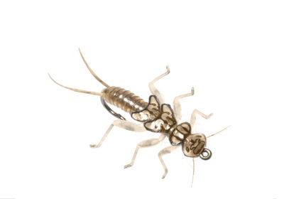 J:son&Co 58309       Realistic Wing Material For Stonefly Nymph (,  4)