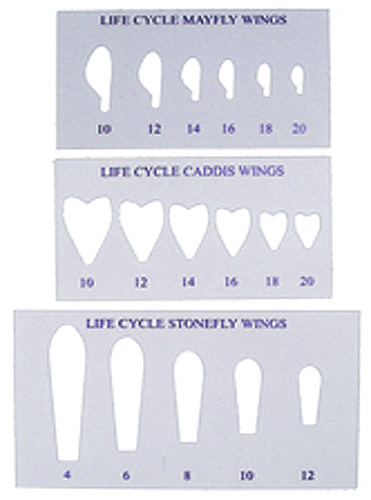 WAPSI 41161    Life Cycle Wing Stencils Set (,  5)