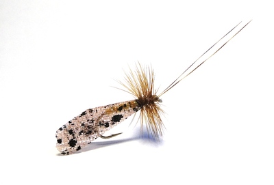 Hareline 58201    MOTTLED WEB WING (,  1)