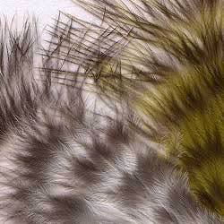 Hareline 53188 Полосатые перья марабу Grizzly Mini Marabou (фото, вид 3)