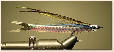 Hedron 52208   Flashabou Minnow Body (,  5)