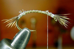 FLY-FISHING 58334       Tungsten Billet Body Scud (,  2)