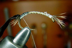 FLY-FISHING 58334       Tungsten Billet Body Scud (,  3)