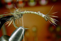 FLY-FISHING 58334       Tungsten Billet Body Scud (,  4)