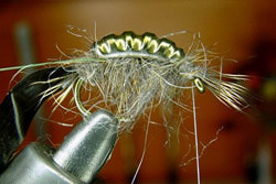 FLY-FISHING 58334       Tungsten Billet Body Scud (,  6)