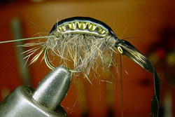 FLY-FISHING 58334       Tungsten Billet Body Scud (,  7)