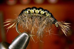 FLY-FISHING 58334       Tungsten Billet Body Scud (,  8)