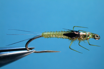 VIRTUAL NYMPH 58115      Synthetic Quills (,  1)