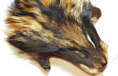 Терский Берег 52373 Мех енота Raccoon Fur (фото, вид 2)