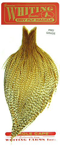 WHITING� 53195 ��������� ������� WHITING� �������� PRO (����, ��� 2)