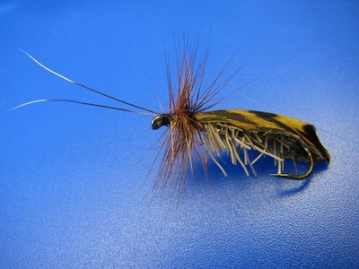 Veniard 58338     Natural Feather Caddis Wings (,  2)