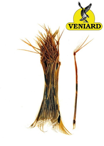 Veniard 58339         Pheasant Legs Knotted (,  1)