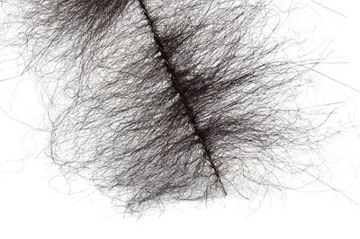 Veniard 55057  Pike Brushes (,  3)